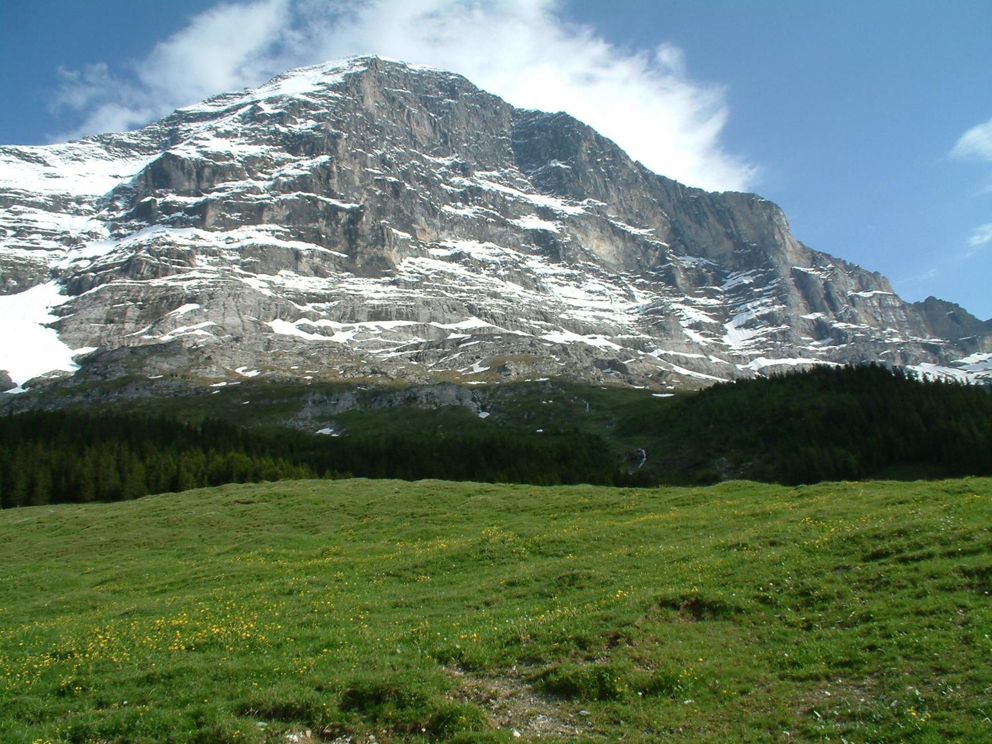 Chalet Schwendiboden Grindelwald Exterior photo
